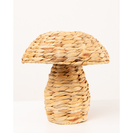 Champignon photophore