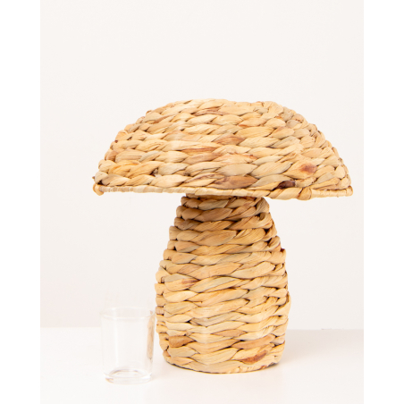 Champignon photophore