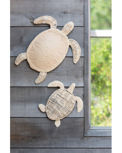 Petite tortue