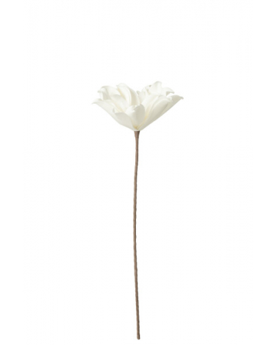 Fleur blanche