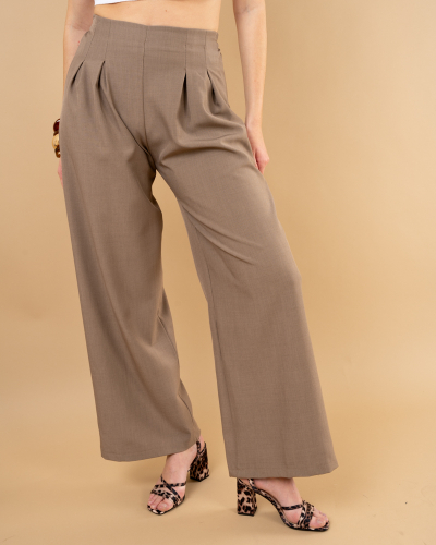 Pantalon pinces