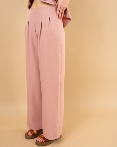 Pantalon pinces