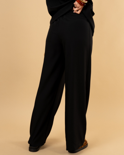Pantalon pinces