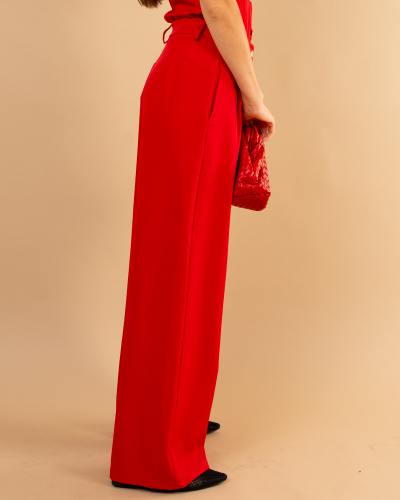 Pantalon pinces bouton