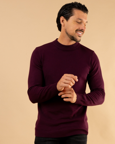 Pull col montant