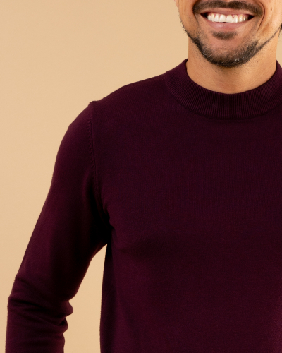 Pull col montant