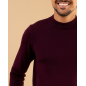Pull col montant