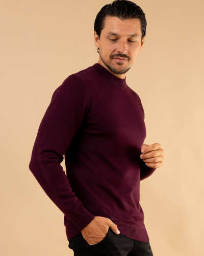 Pull col montant