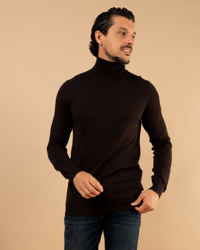 Pull col roulé