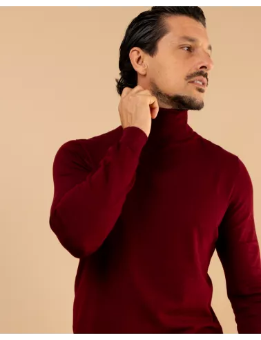 Pull col roulé