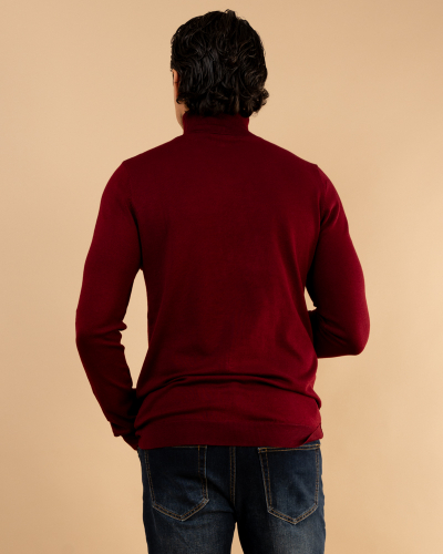 Pull col roulé