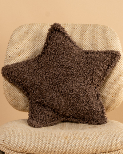 Coussin étoile teddy