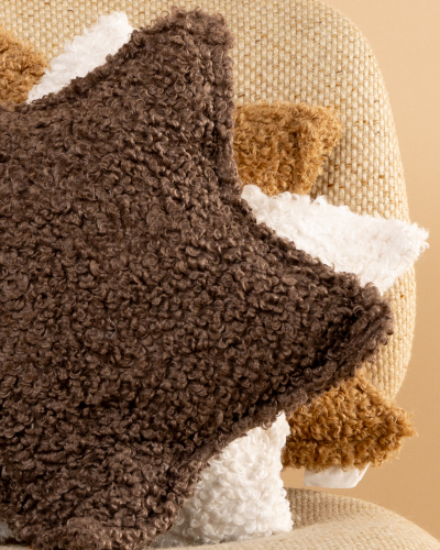 Coussin étoile teddy
