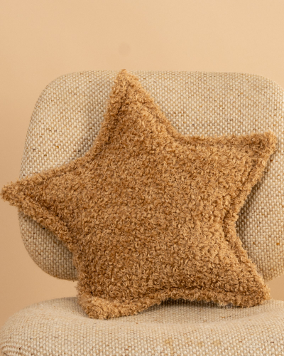 Coussin étoile teddy