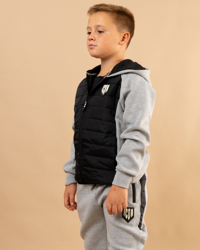 Veste icon