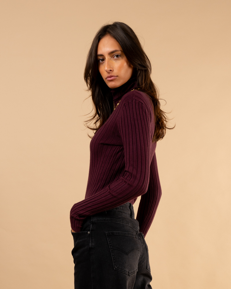 Pull strie col roulé