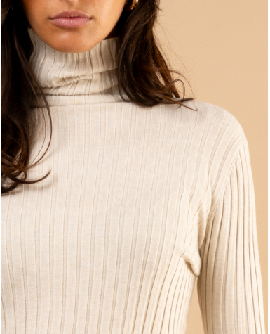 Pull strie col roulé