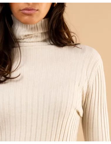Pull strie col roulé