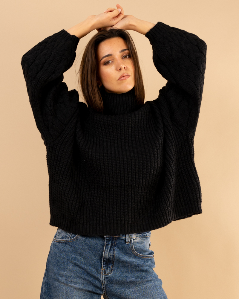 Pull col roulé manches torsade