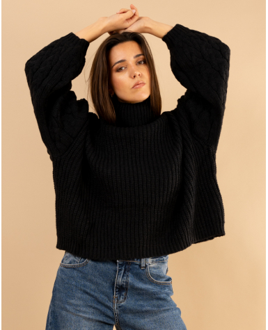 Pull col roulé manches torsade