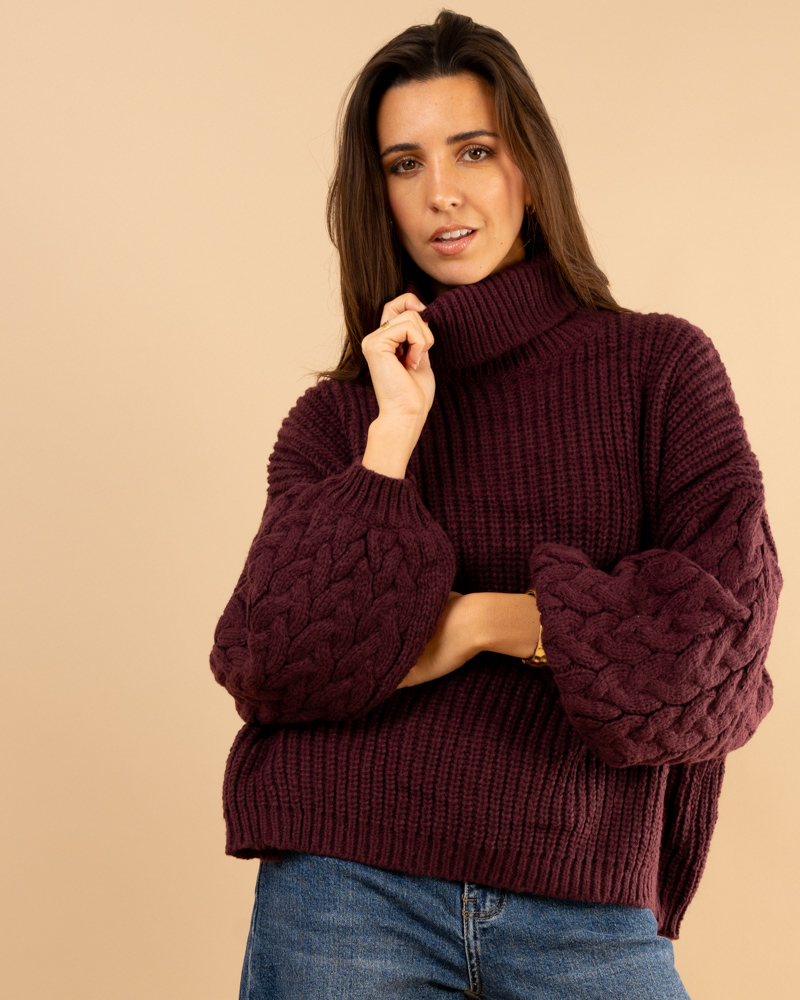 Pull col roulé manches torsade