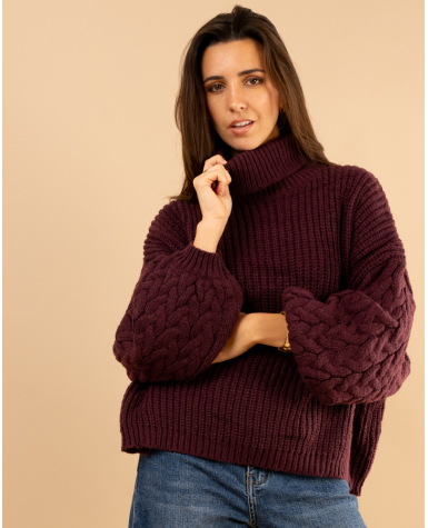 Pull col roulé manches torsade