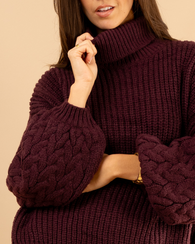 Pull col roulé manches torsade