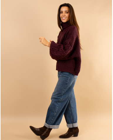 Pull col roulé manches torsade
