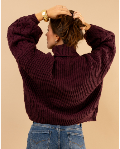 Pull col roulé manches torsade