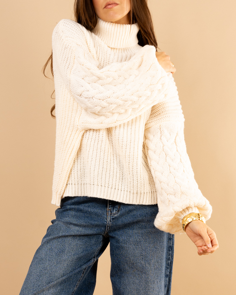 Pull col roulé manches torsade