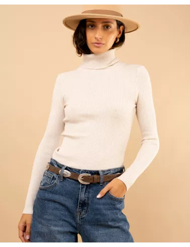Pull côtelé col roulé