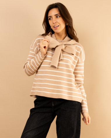 Pull mariniere capuche