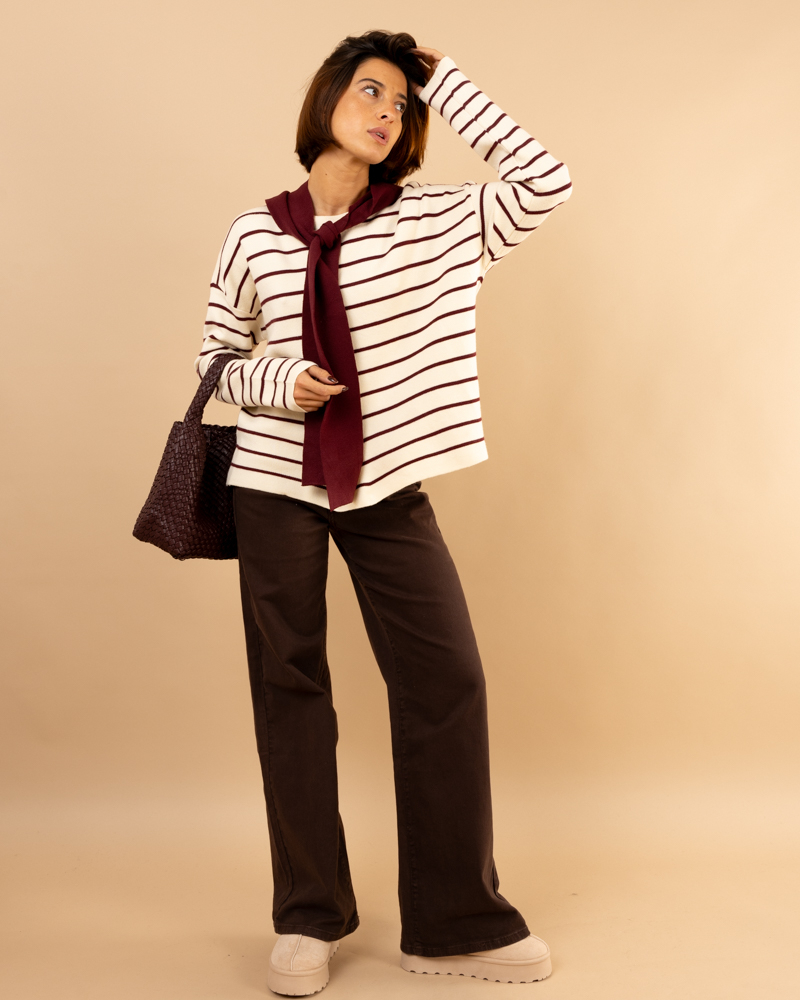 Pull mariniere capuche