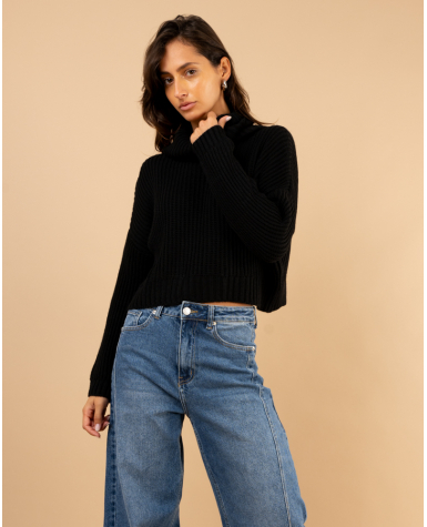 Pull court col roulé