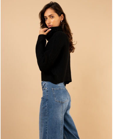 Pull court col roulé