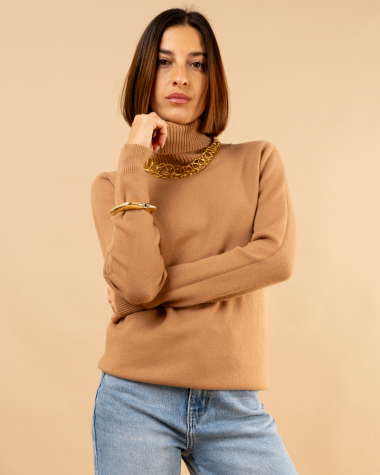 Pull col roulé