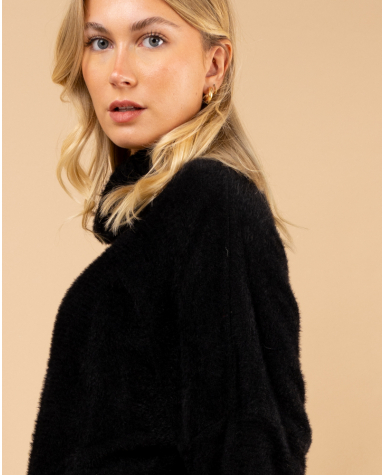 Pull col roulé angora