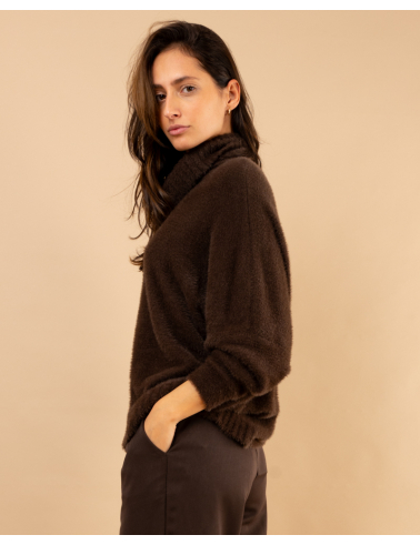 Pull col roulé angora