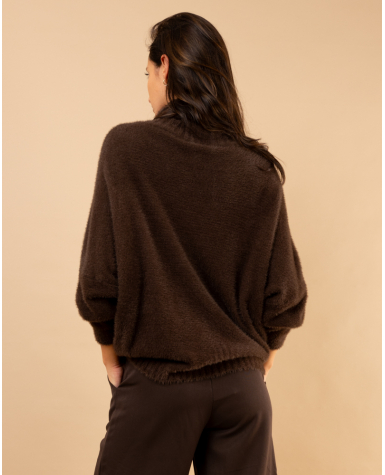 Pull col roulé angora