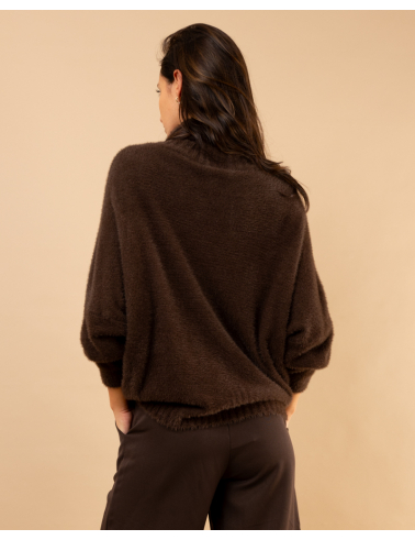 Pull col roulé angora