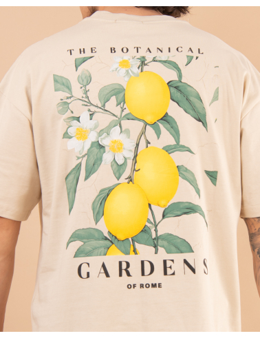 T-Shirt citrons
