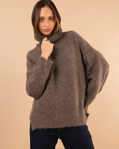 Pull col roulé laine