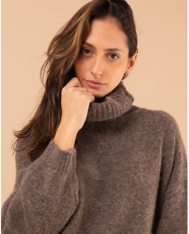 Pull col roulé laine
