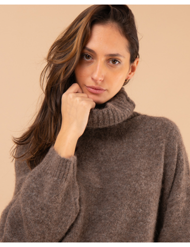 Pull col roulé laine