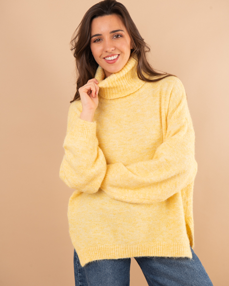 Pull col roulé laine