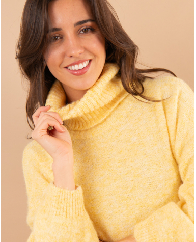 Pull col roulé laine