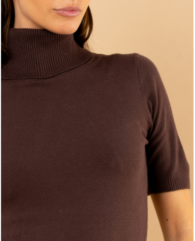 Pull col roulé manches courtes