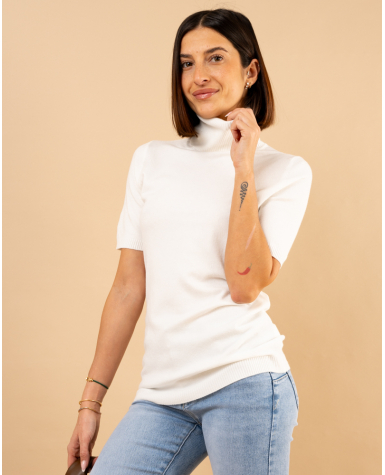 Pull col roulé manches courtes