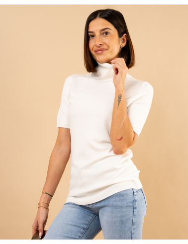 Pull col roulé manches courtes