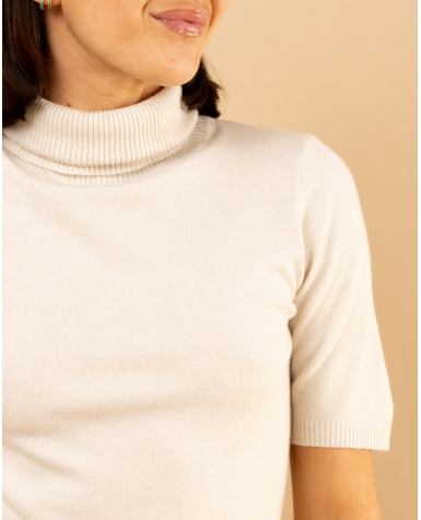 Pull col roulé manches courtes